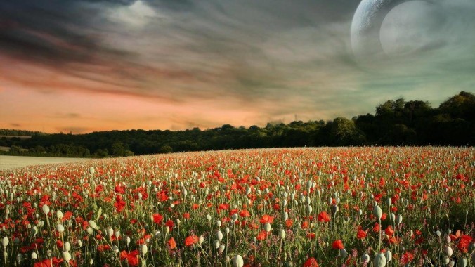 东莞的外来人口比例比深圳更高，为什么很少有人说“东莞不是个广东城市”？